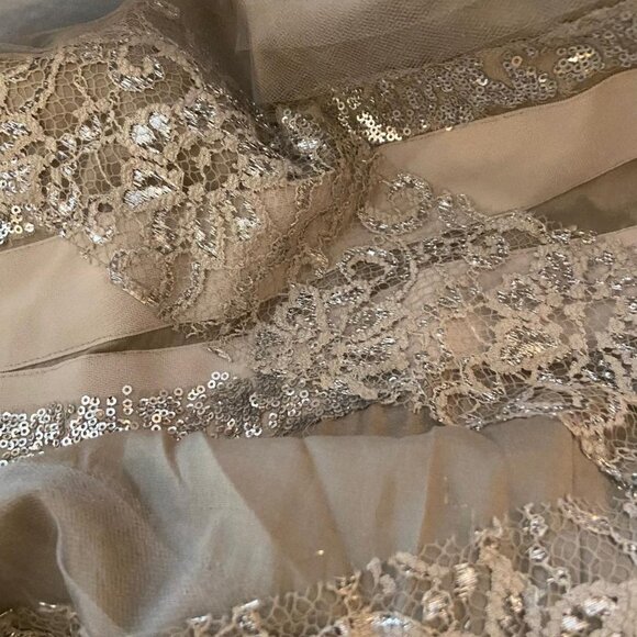 NWT Alice + Olivia Dress Silver Champagne Sequin Mesh Cocktail Sleeveless Size 2 - Picture 11 of 11